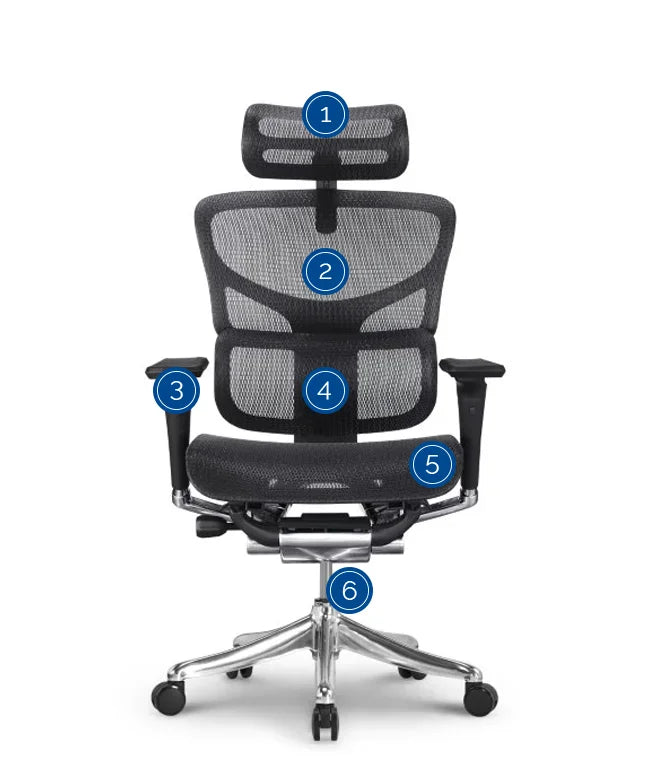 Ergonomic Office Chair Smart Plus PRO