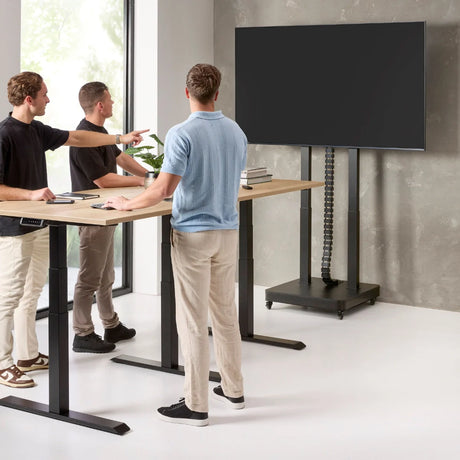 Standing Desks