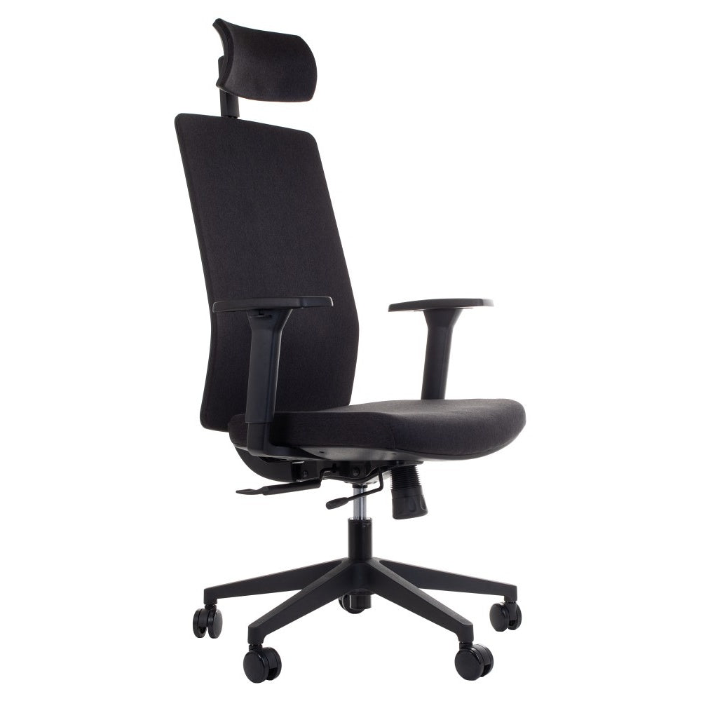 Ergonomic Office Chair ZN-807