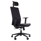 Ergonomic Office Chair ZN-807