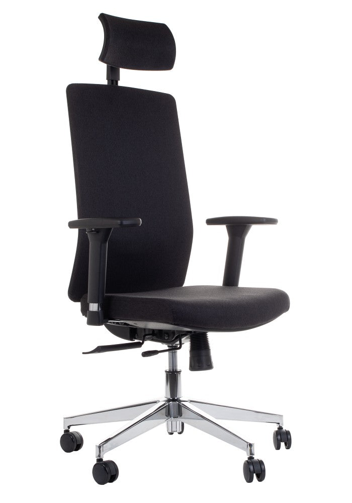 Ergonomic Office Chair ZN-807