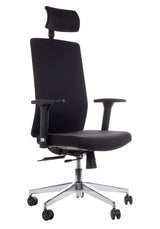 Ergonomic Office Chair ZN-807