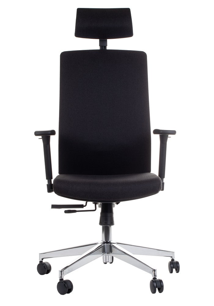 Ergonomic Office Chair ZN-807