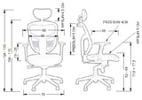 Ergonomic Office Chair HN-5038