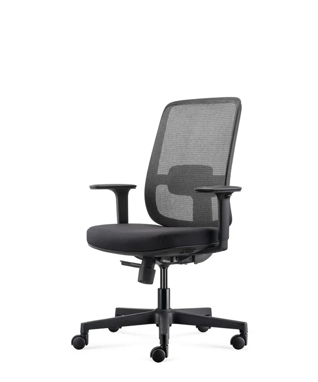 Ergonomic Office Chair Ergo Basic W