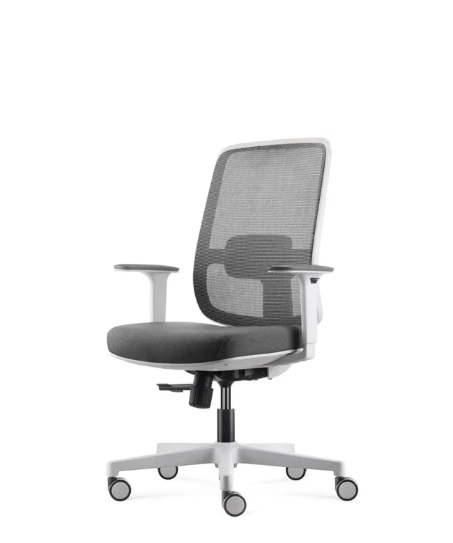 Ergonomic Office Chair Ergo Basic W