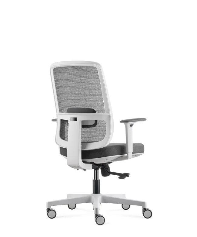 Ergonomic Office Chair Ergo Basic W