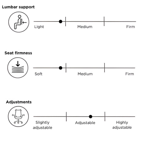 The product is an ergonomic office chair, specifically the "Vane" model. The image displays three adjustable features: lumbar support, seat firmness, and overall adjustability. Each feature is represented on a scale, indicating options ranging from light to firm for lumbar support, soft to firm for seat firmness, and slightly adjustable to highly adjustable for overall customization.