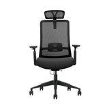 The product is an ergonomic office chair, specifically the Vane model. The chair features a high mesh back for breathability, a padded seat for comfort, and adjustable armrests. Its design emphasizes support and ergonomic functionality, making it suitable for long hours of use in an office setting.