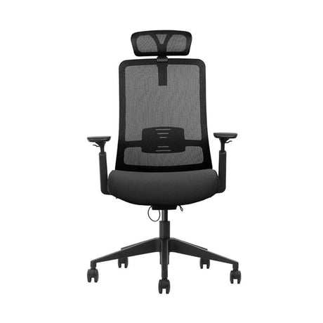 The product is an ergonomic office chair, specifically the Vane model. The chair features a high mesh back for breathability, a padded seat for comfort, and adjustable armrests. Its design emphasizes support and ergonomic functionality, making it suitable for long hours of use in an office setting.