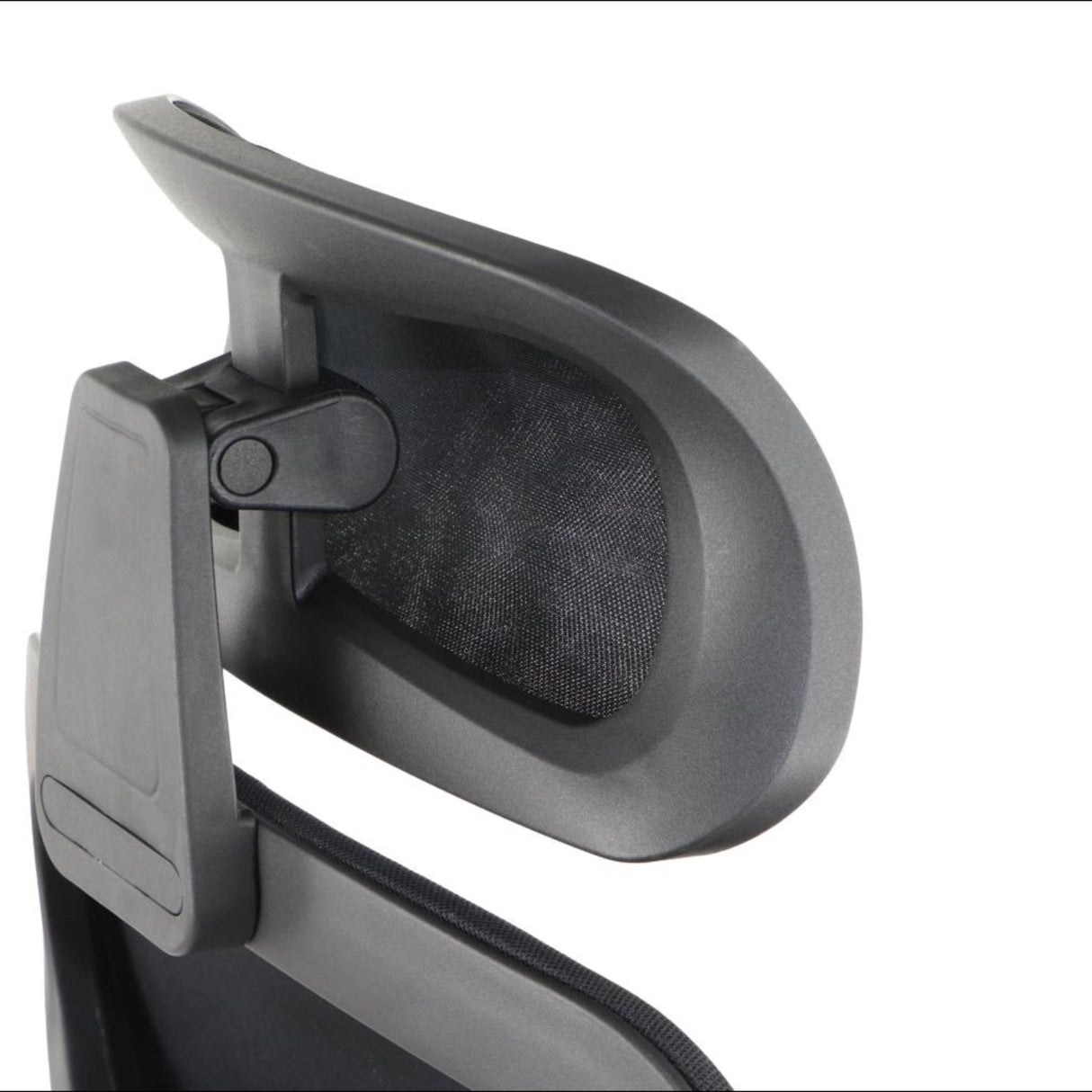 Ergonomic Office Chair Arden