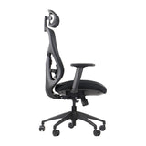 Ergonomic Office Chair Arden