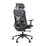 Ergonomic Office Chair Arden