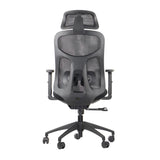 Ergonomic Office Chair Arden