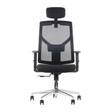 Ergonomic Office Chair Curtiz