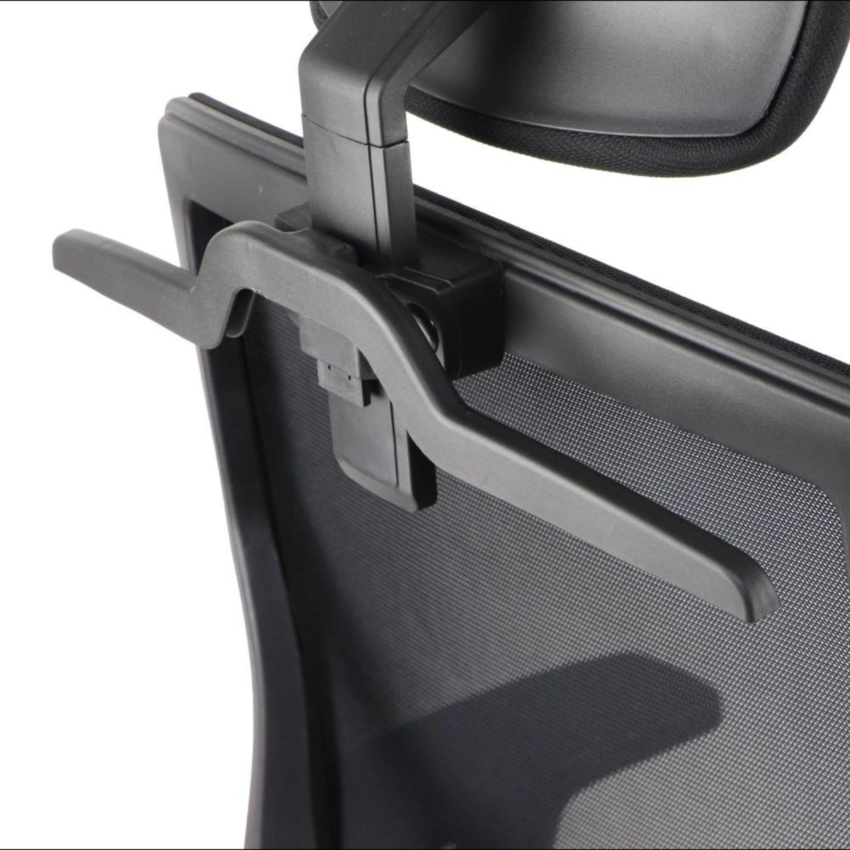 Ergonomic Office Chair Curtiz