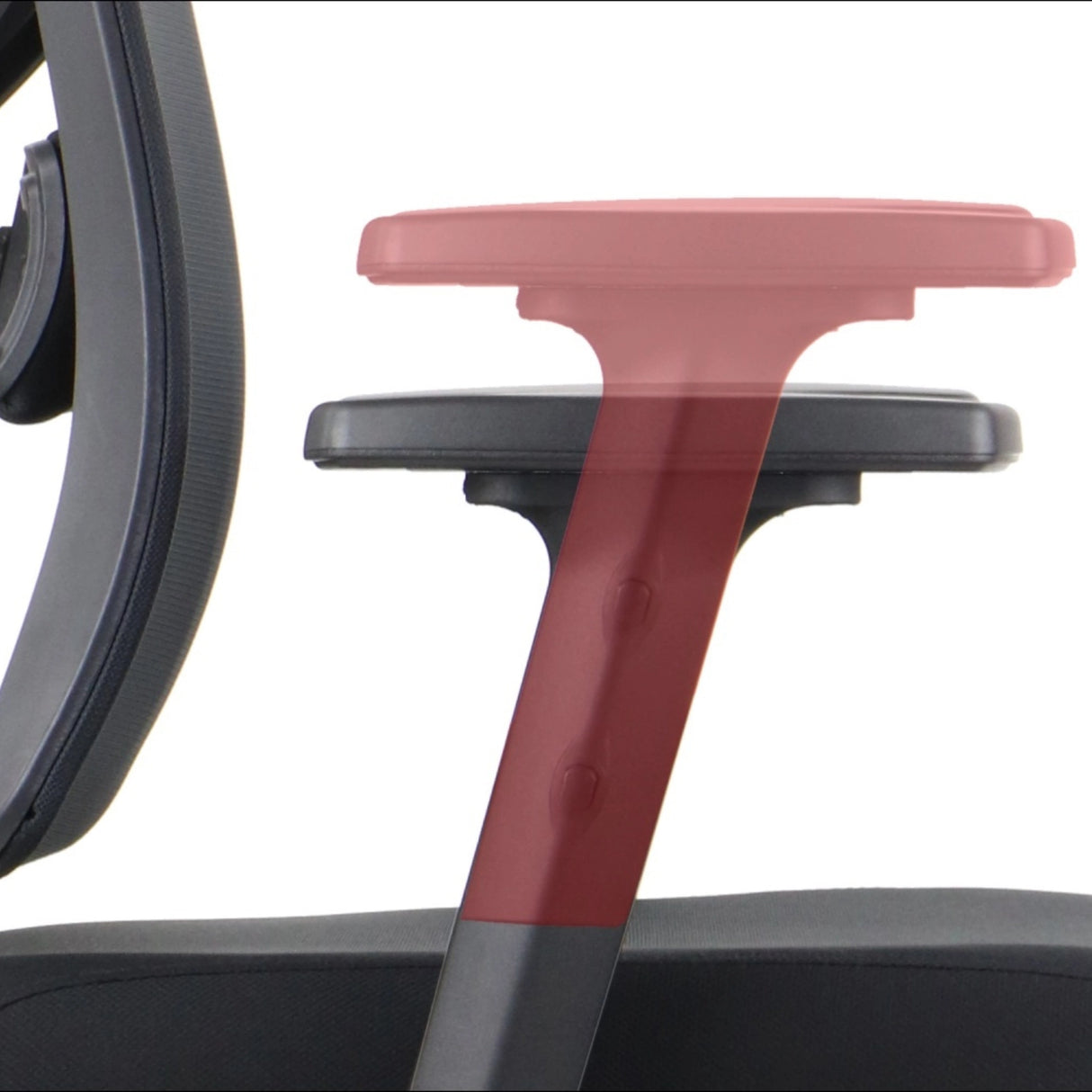 Ergonomic Office Chair Curtiz