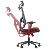 Ergonomic Office Chair Curtiz