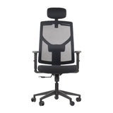 Ergonomic Office Chair Curtiz