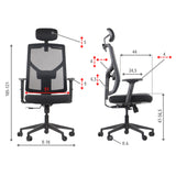 Ergonomic Office Chair Curtiz