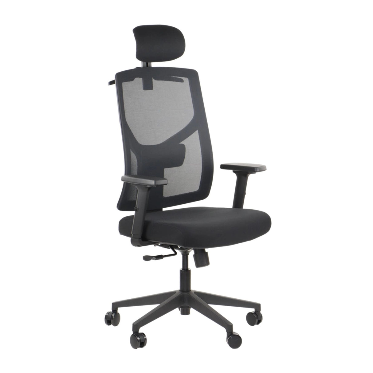 Ergonomic Office Chair Curtiz