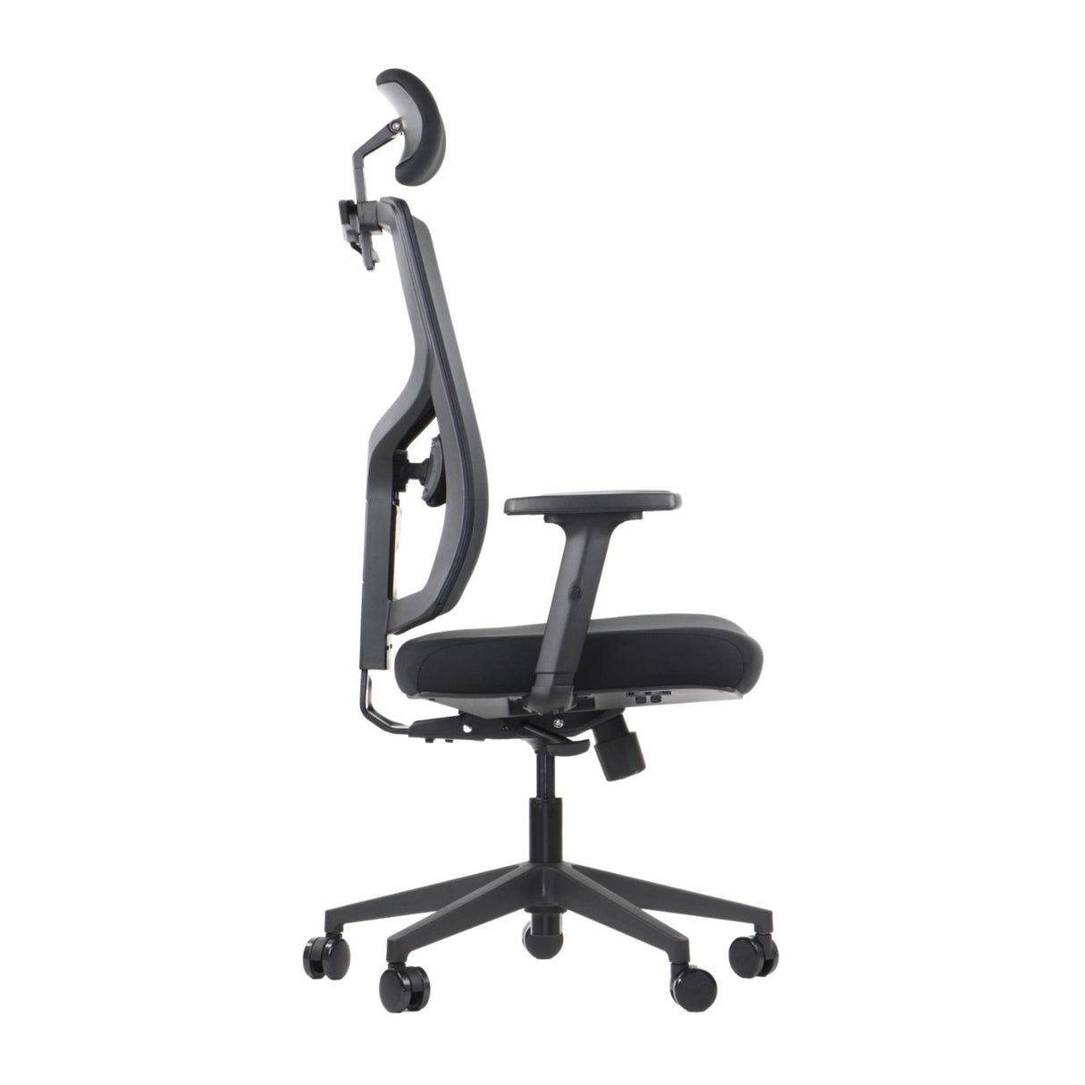 Ergonomic Office Chair Curtiz