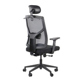 Ergonomic Office Chair Curtiz