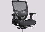 Ergonomic Office Chair Erg PRO
