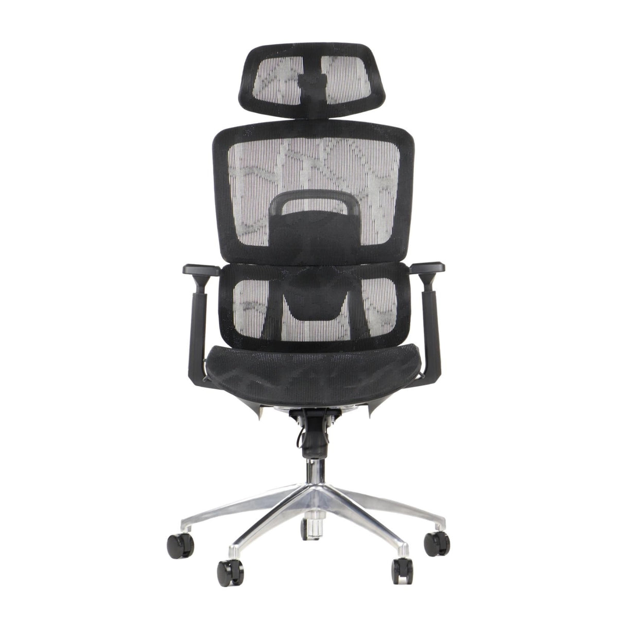 Ergonomic Office Chair ErgoNew A1