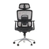Ergonomic Office Chair ErgoNew A1