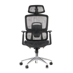 The product is an ergonomic office chair, specifically the Ergonew A1 model. The chair features a sleek design with a mesh backrest and seat for breathability, adjustable armrests, and a supportive headrest. It is mounted on a chrome base with wheels for mobility.