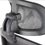 Ergonomic Office Chair ErgoNew A1