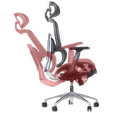 Ergonomic Office Chair ErgoNew A1