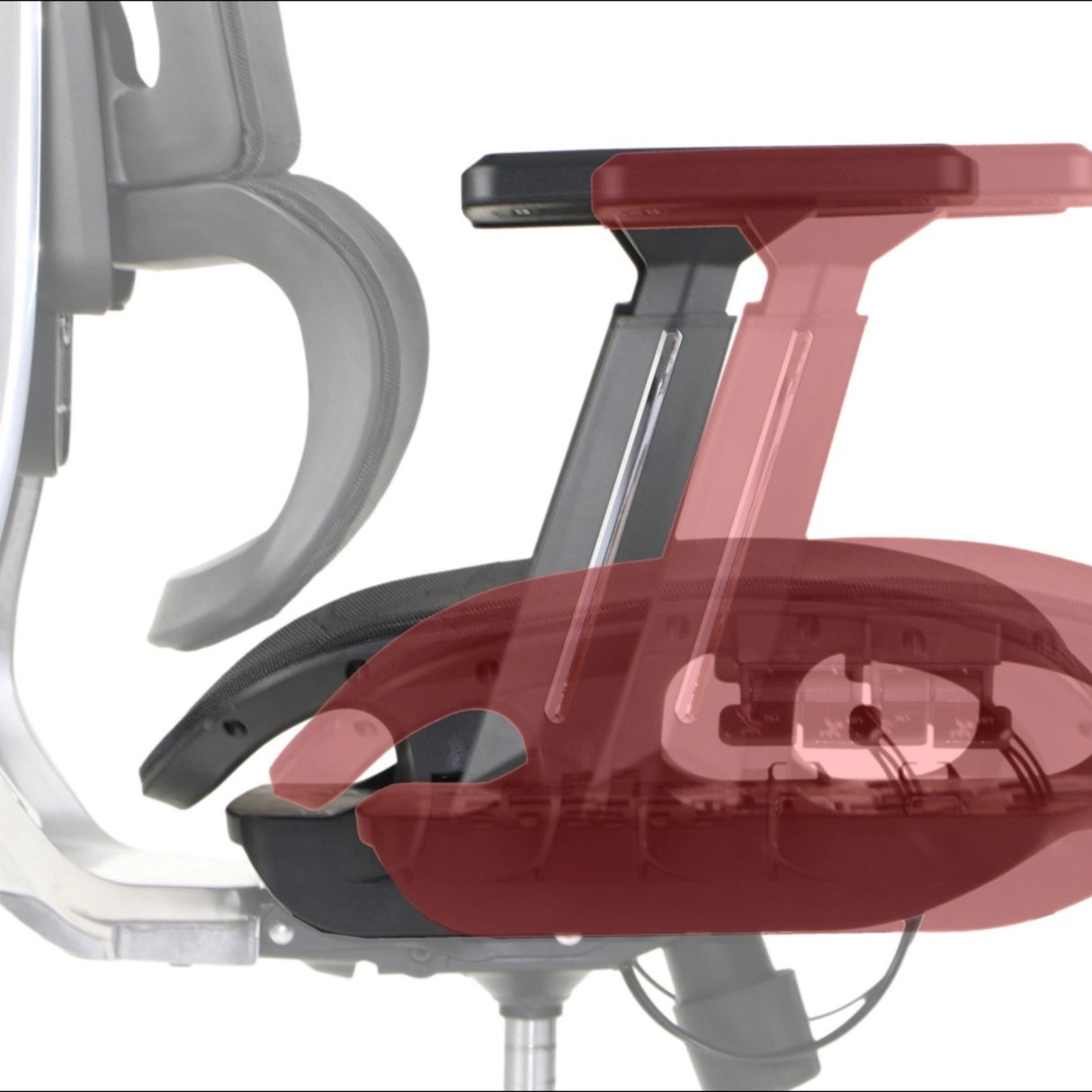 Ergonomic Office Chair ErgoNew A1