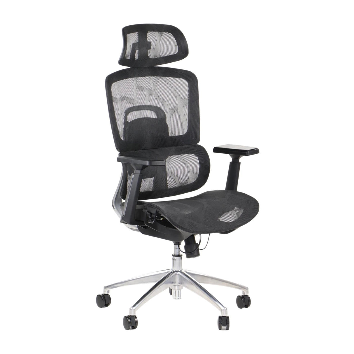 Ergonomic Office Chair ErgoNew A1