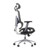 Ergonomic Office Chair ErgoNew A1