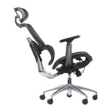 Ergonomic Office Chair ErgoNew A1