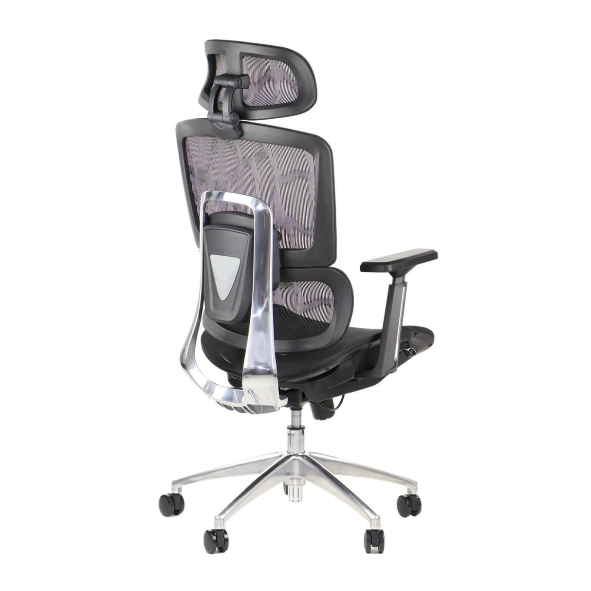 Ergonomic Office Chair ErgoNew A1