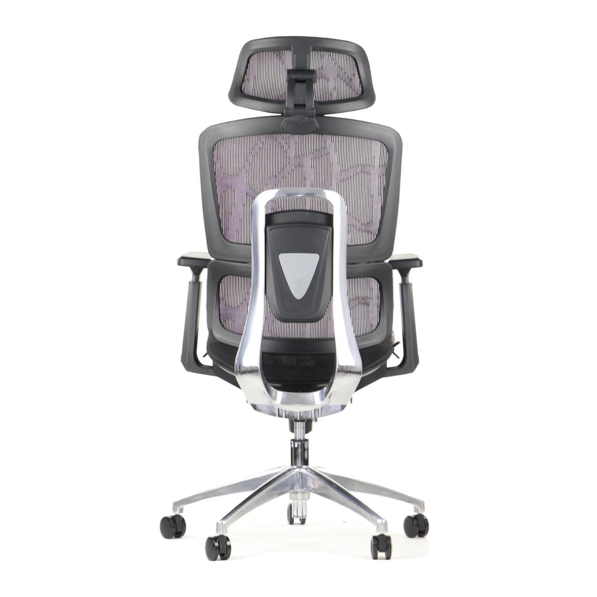Ergonomic Office Chair ErgoNew A1