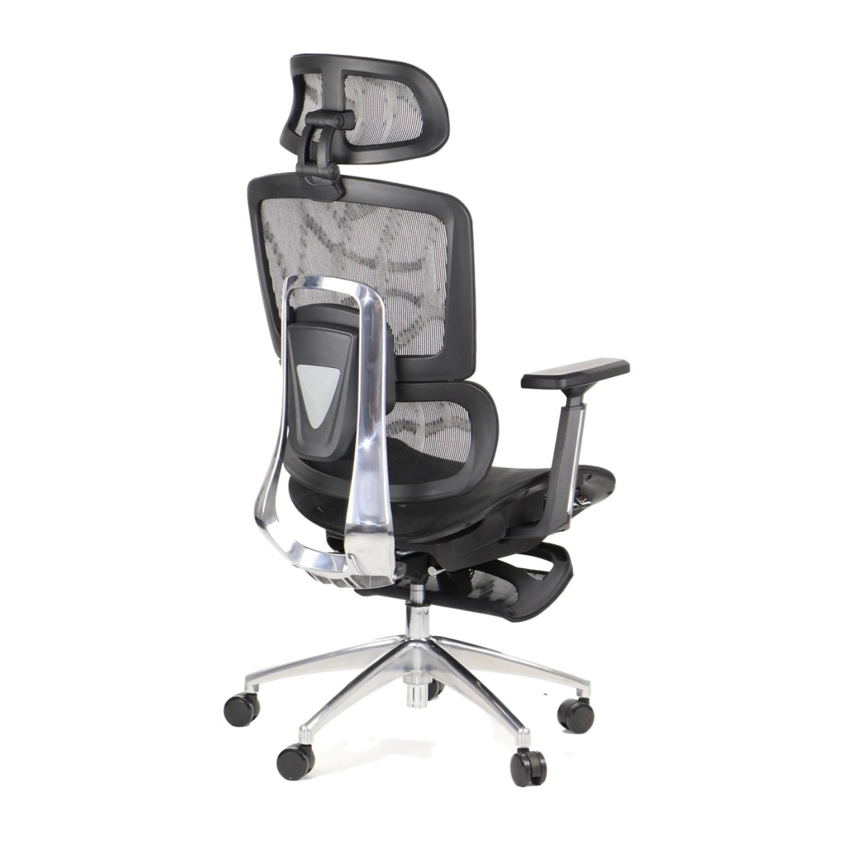 Ergonomic Office Chair ErgoNew A1F