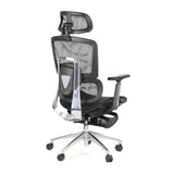 Ergonomic Office Chair ErgoNew A1F