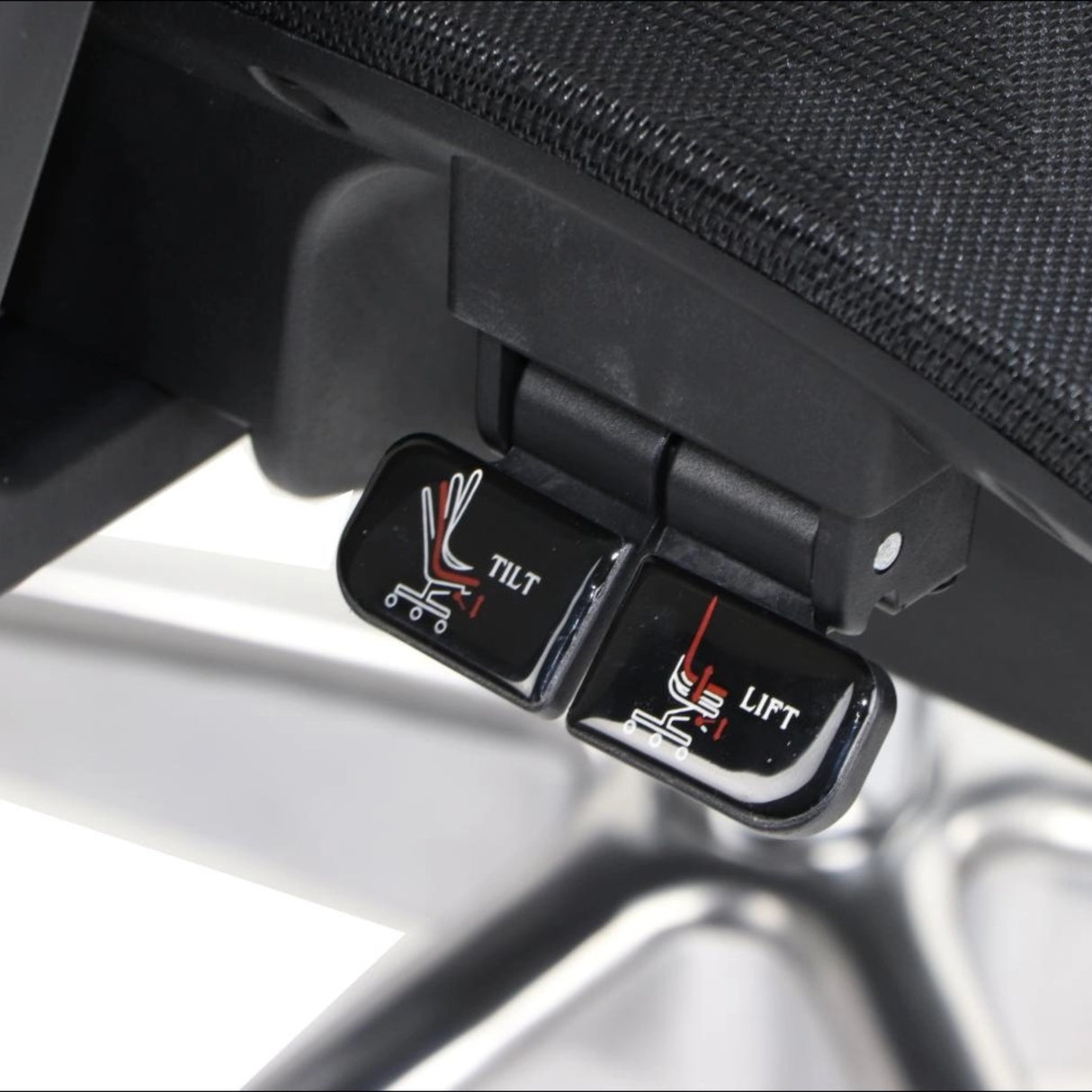 Ergonomic Office Chair ErgoNew A1F