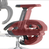 Ergonomic Office Chair ErgoNew A1F