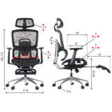 Ergonomic Office Chair ErgoNew A1F