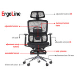 Ergonomic Office Chair ErgoNew A1F