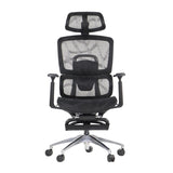 Ergonomic Office Chair ErgoNew A1F