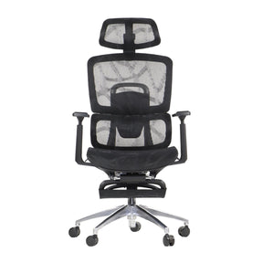 The product is an ergonomic office chair, specifically the Ergonew A1F model. The chair features a modern design with a mesh backrest and seat, providing breathability and comfort. It includes adjustable armrests and a headrest, all mounted on a chrome base with wheels for mobility.