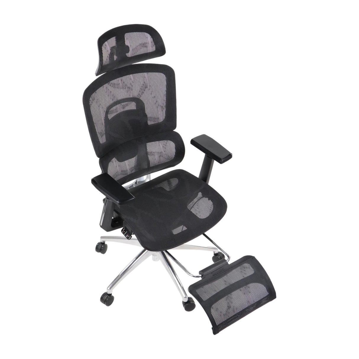Ergonomic Office Chair ErgoNew A1F