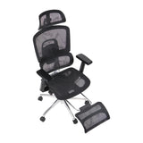 Ergonomic Office Chair ErgoNew A1F