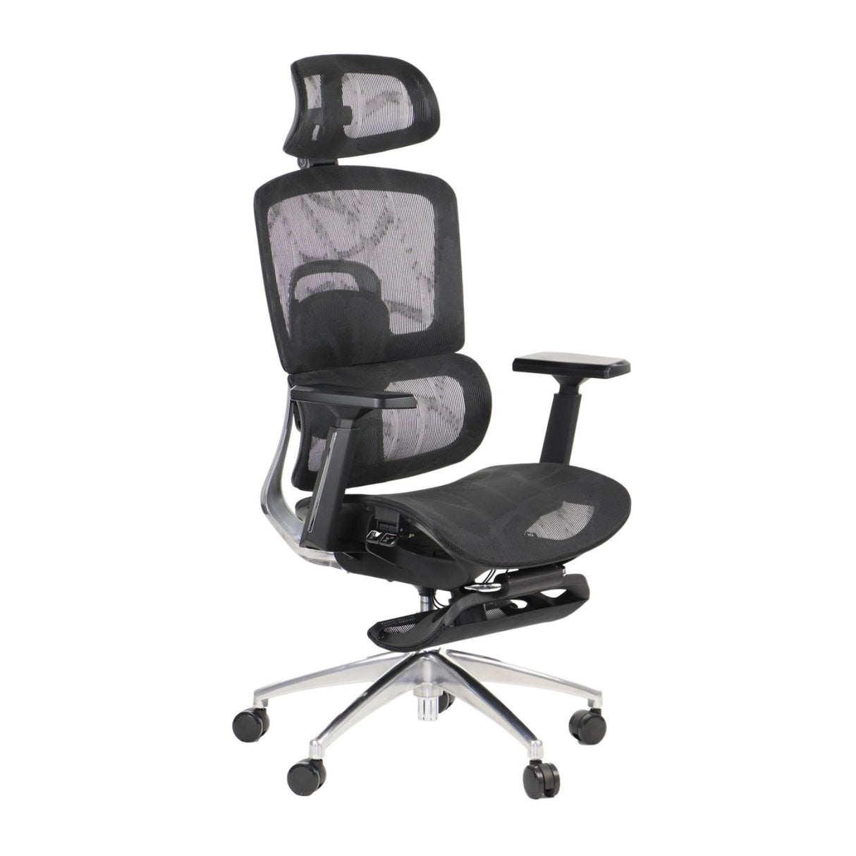 Ergonomic Office Chair ErgoNew A1F